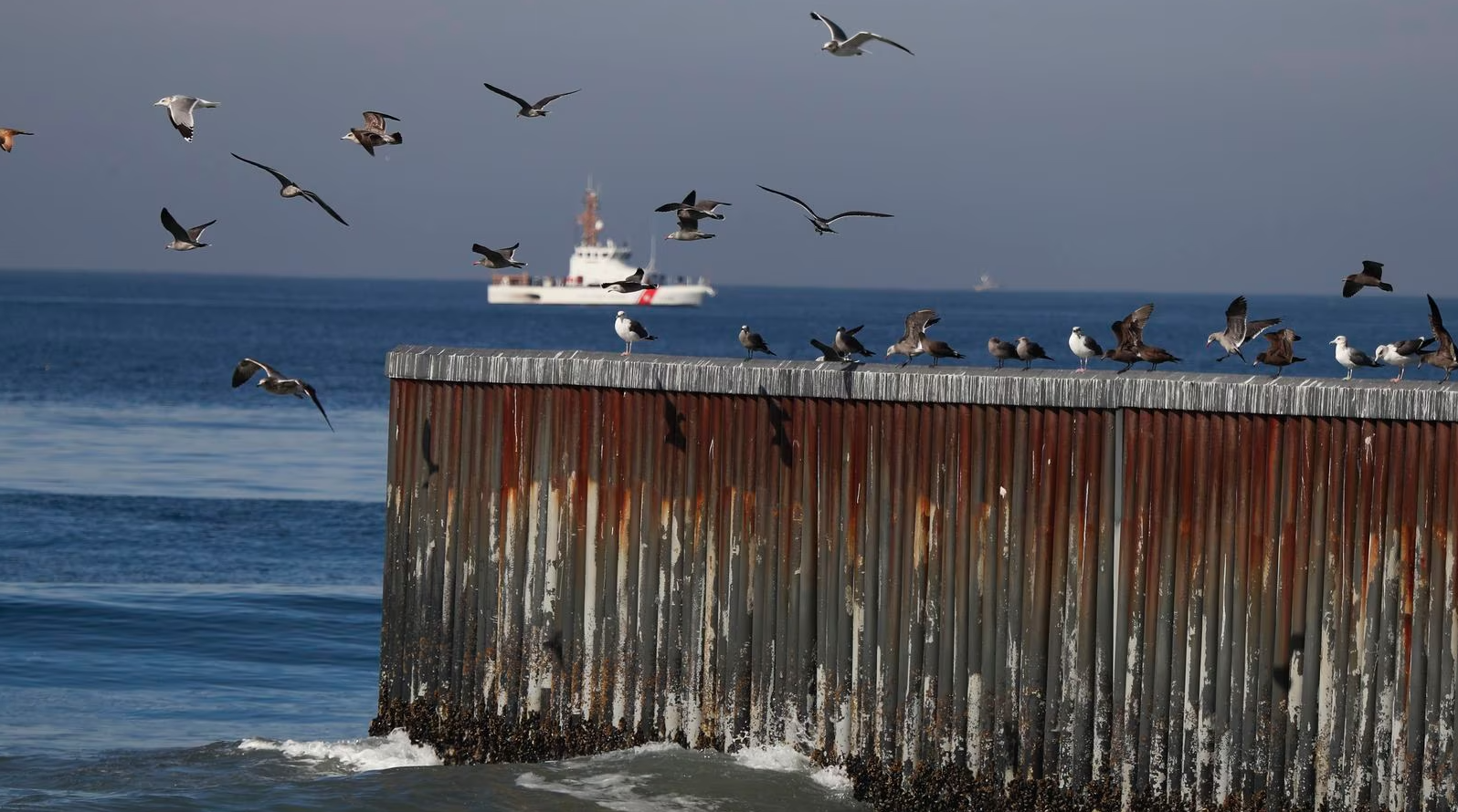 Fenómeno de El Niño provoca la muerte de cientos de aves en el Pacífico mexicano