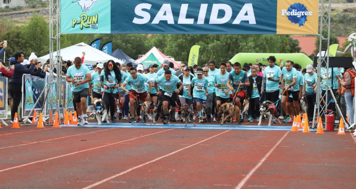 600 Corredoras Y Corredores Y 300 Perros Participan En La Carrera P-Run 2023