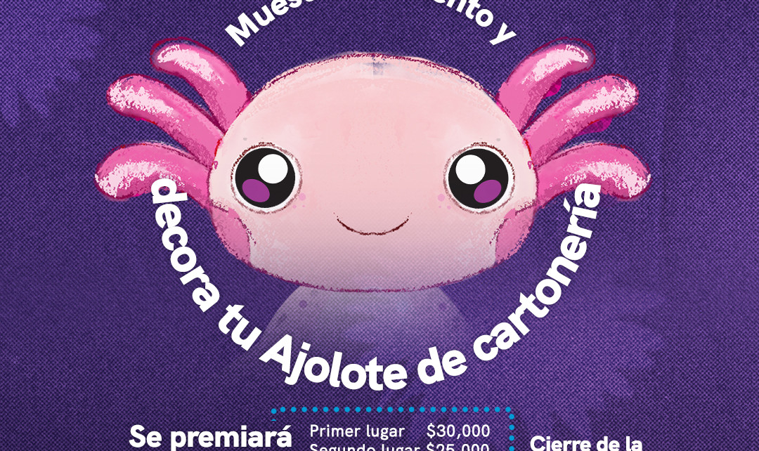 Invita Titular De SEJUVE A Participar En La Convocatoria Creajolote