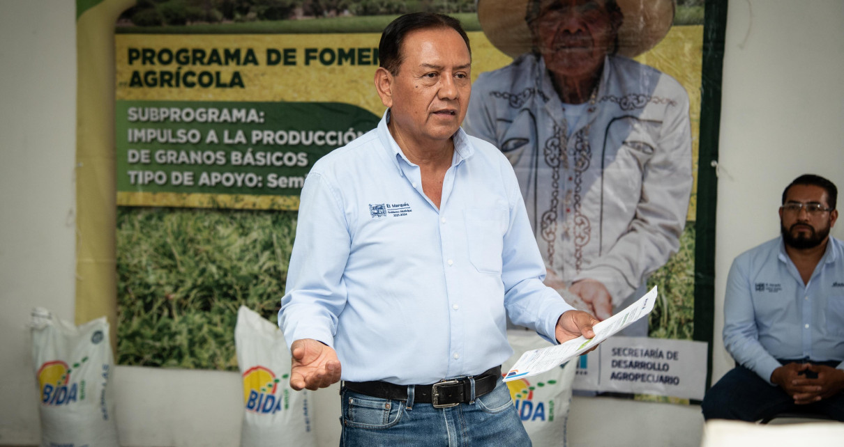 El Marqués Entrega Semilla De Frijol A 140 Productores Locales